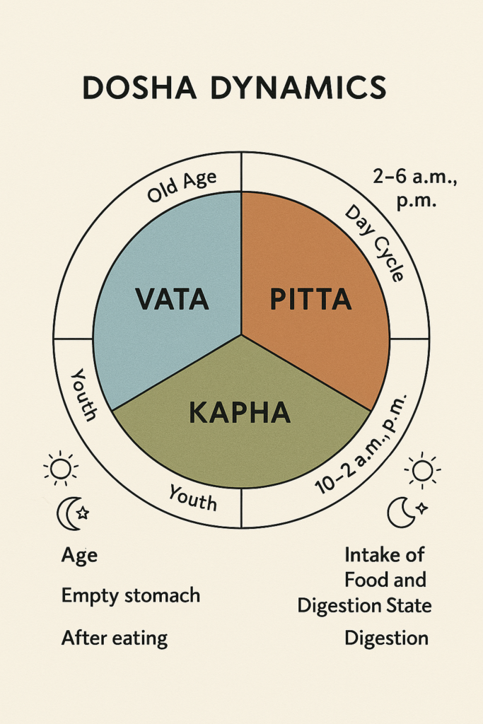 Dosha Dynamics