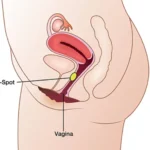 g-spot