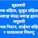 Essence of the Ayurveda
