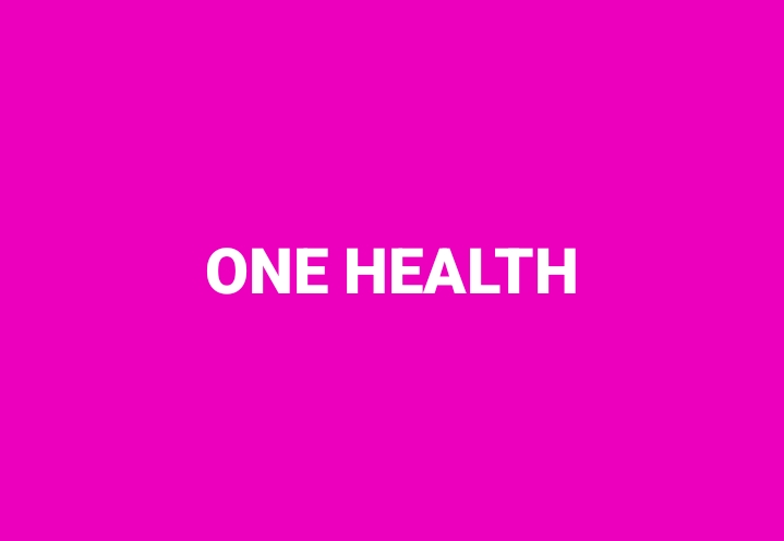 One Health 