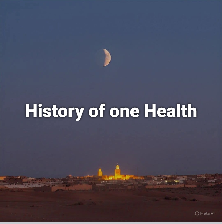 One Health 