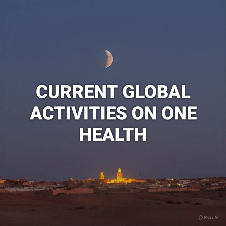 One Health 