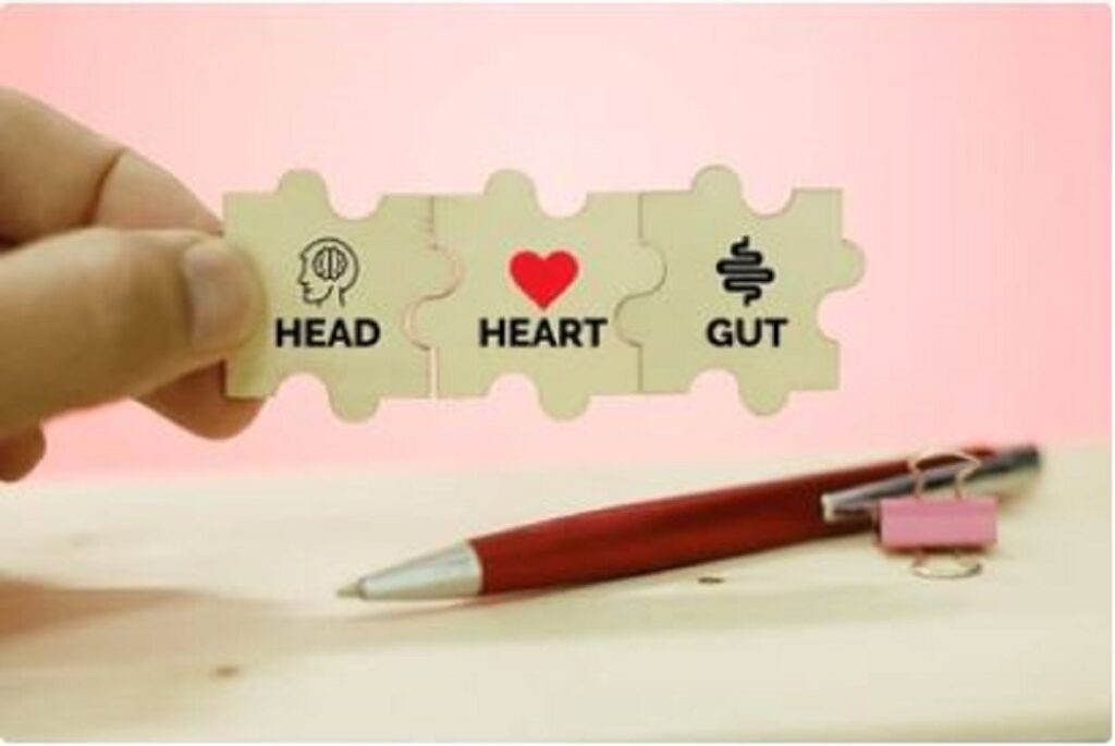 Head Brain Heart Brain and GUT Brain