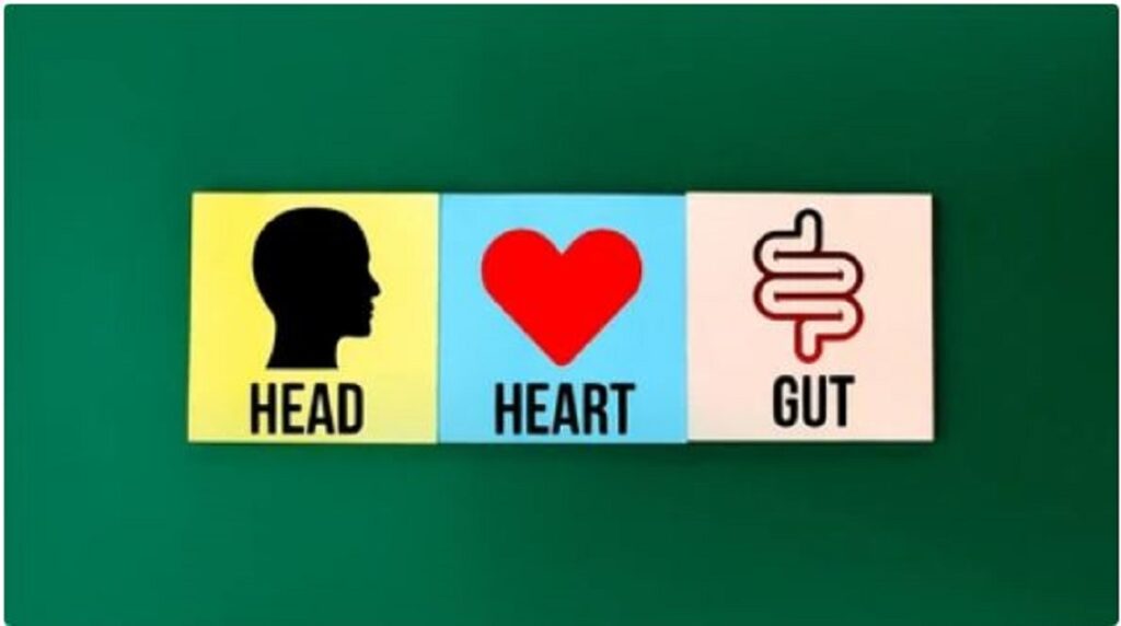 Head Brain heart Brain and GUT Brain