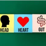 Head Brain heart Brain and GUT Brain