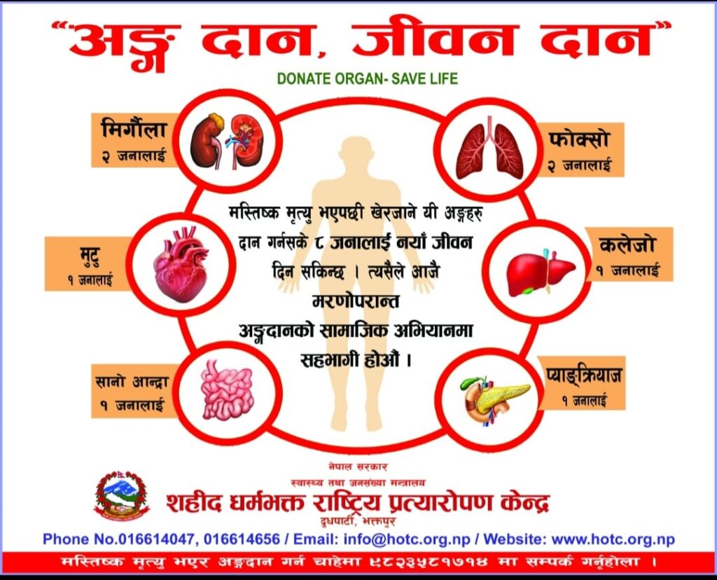 Renal Failure