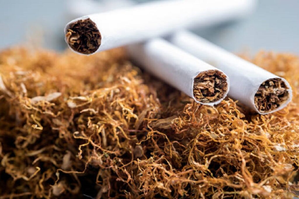 tobacco
