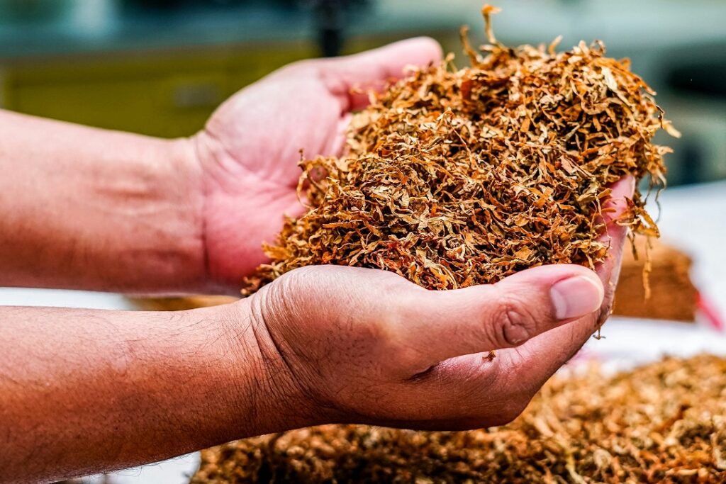 tobacco