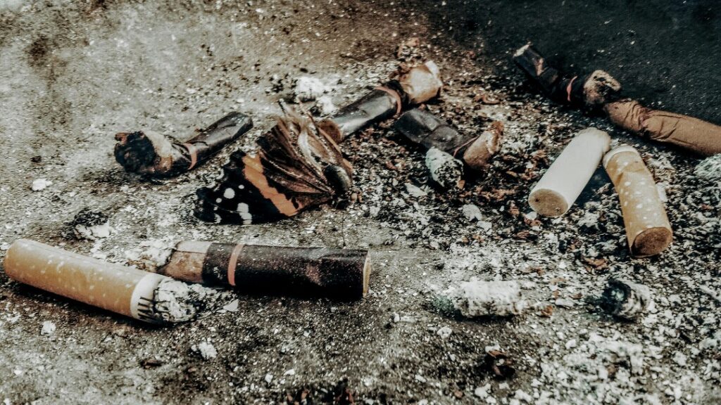 tobacco