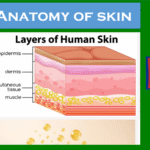 Ayurveda Dermatology