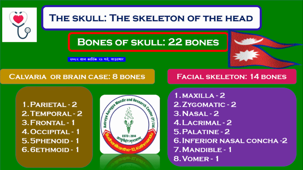 Brahmarandhra: The Gateway of Supreme Consciousness