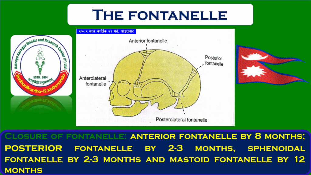 Brahmarandhra: The Gateway of Supreme Consciousness